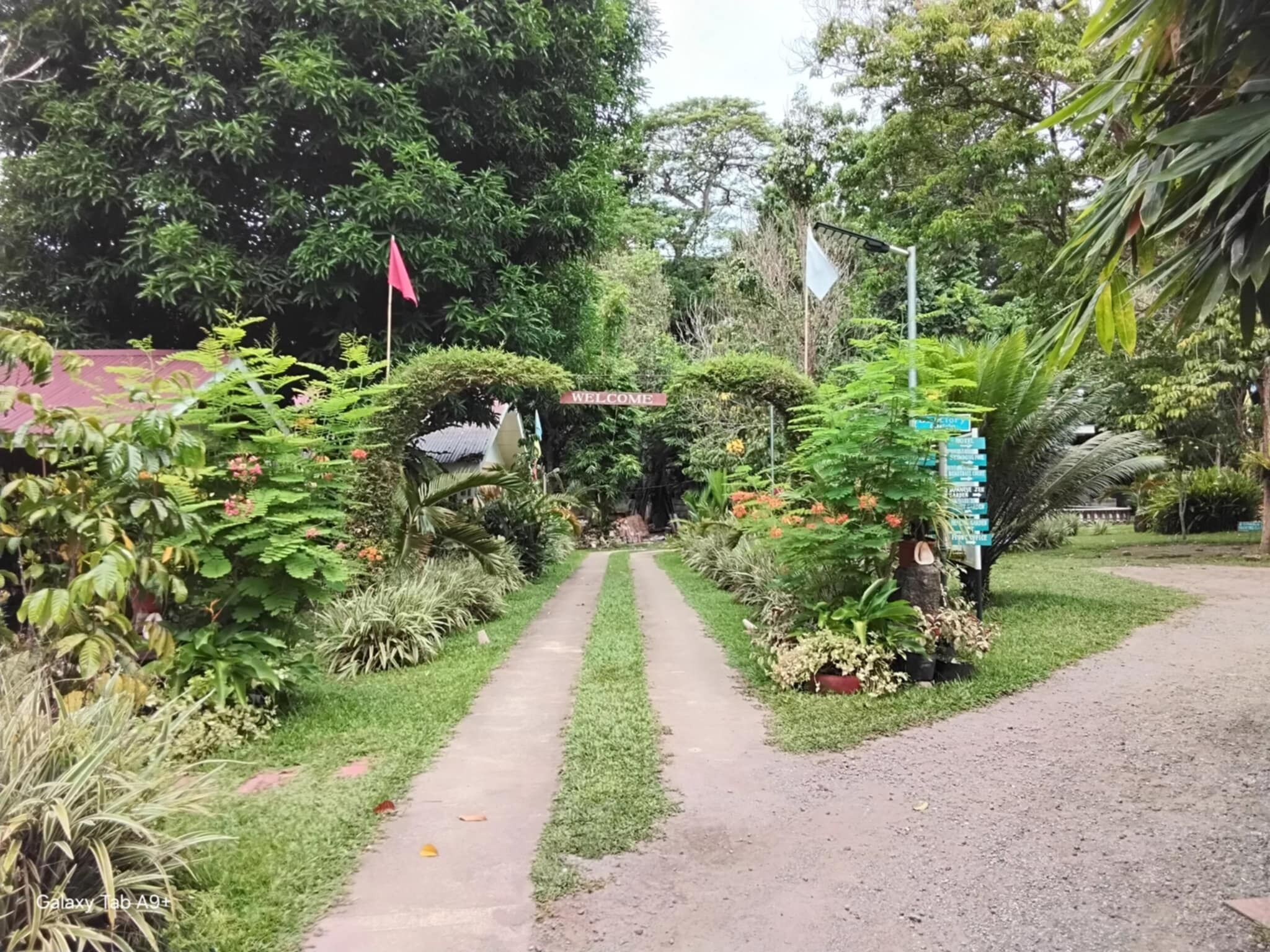 A garden pathway leading to a building with a 'Welcome' sign.