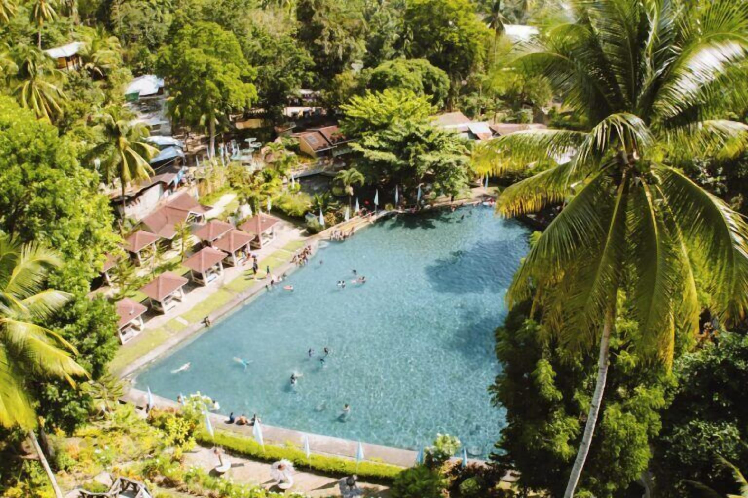 Vista aérea de un resort con una gran piscina rodeada de exuberante vegetación y palmeras.