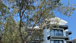 A modern multi-story building with a swimming pool, outdoor seating, and a tree in the foreground. - Assos Luna Houses (Ayvacik)