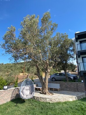 52-inch LCD TV with satellite channels, TV