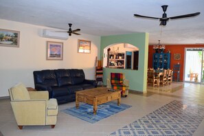 Smart TV, DVD player, books, computer monitors