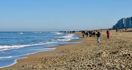 Brise De Mer