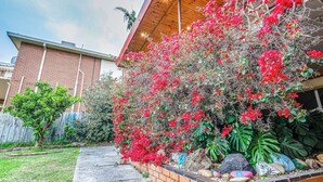Un patio trasero residencial con un patio de ladrillo, diversas plantas, incluyendo un arbusto floreciente, y una pérgola de madera.