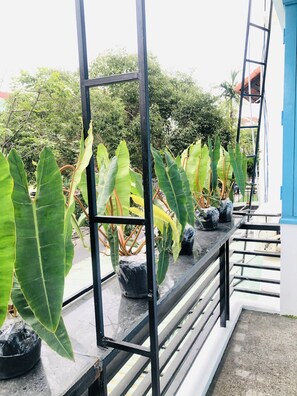 Vista frontal de la propiedad