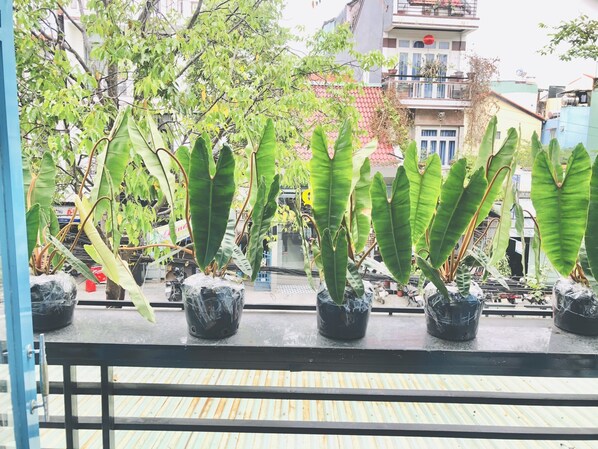 Vista frontal de la propiedad