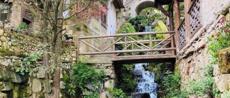 1 habitación y wifi gratis