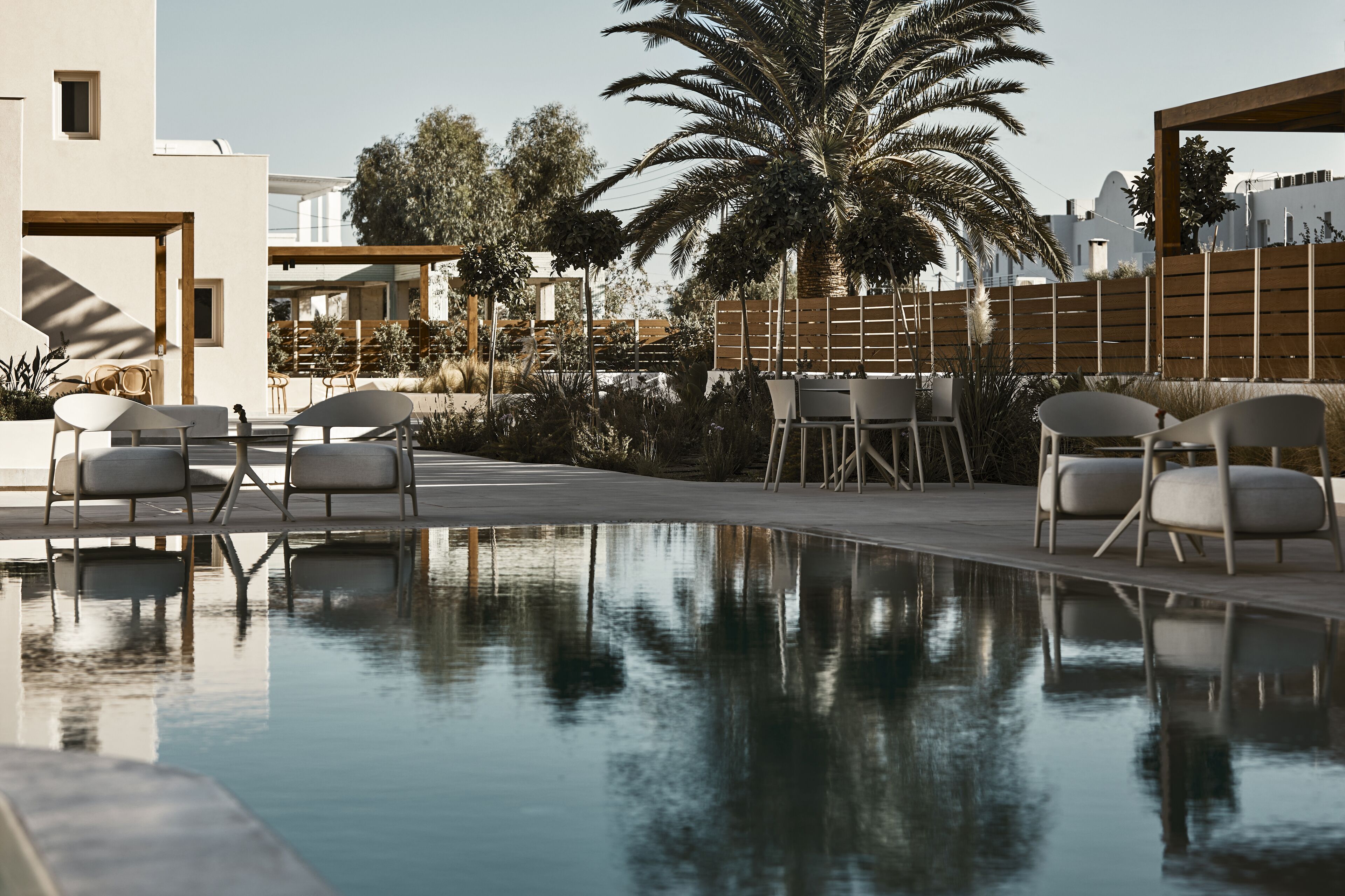A pool area with lounge chairs and a palm tree.