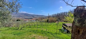 Property grounds - Holiday Home 'Da Chicca' with Countryside View, Wi-Fi and Air Conditioning (Bolano)