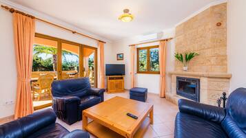 TV, fireplace, table tennis