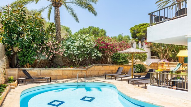 Piscina com espreguiçadeiras, uma palmeira e um muro de pedra.