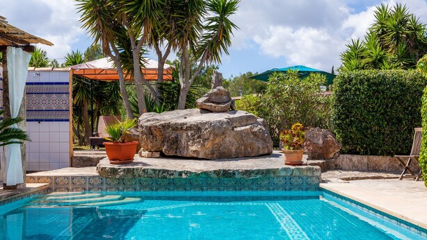 Una piscina con borde de azulejos, rodeada de rocas y plantas en macetas.