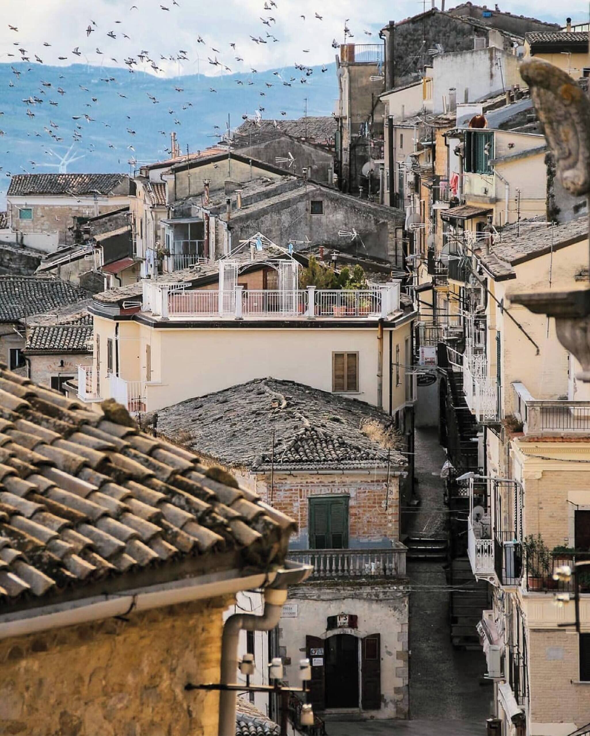 Vue depuis l’hébergement