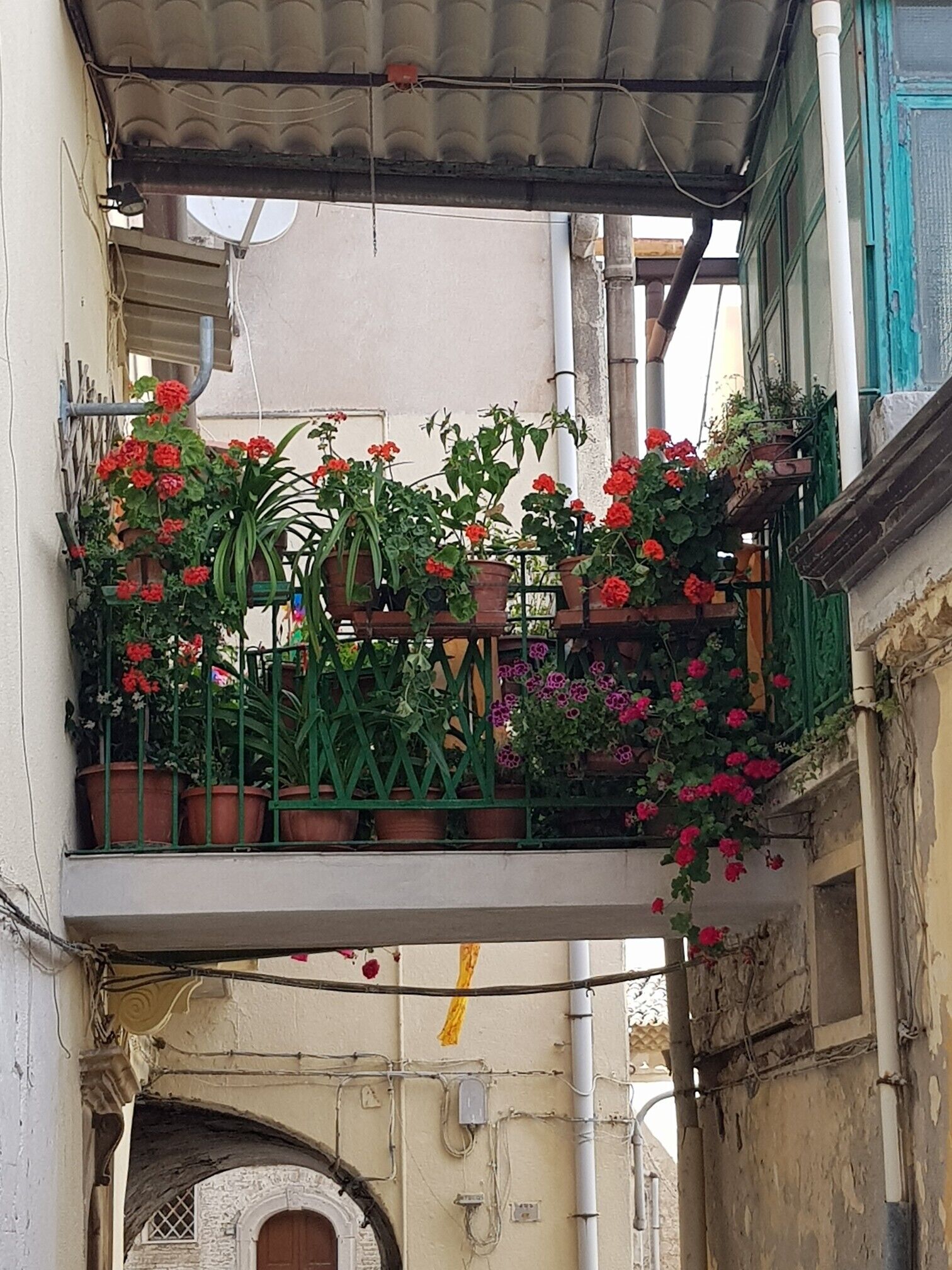 Enceinte de l’hébergement