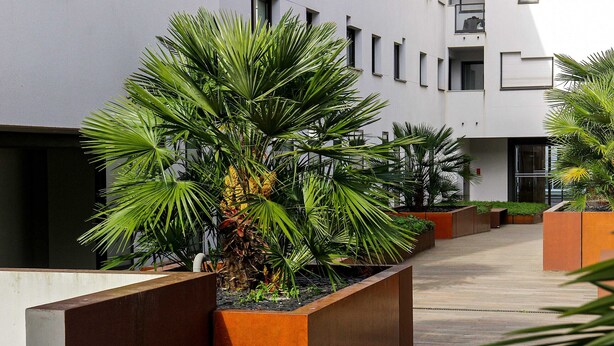 A modern building with a courtyard featuring planters with green plants and a palm tree. - Belfort - 2 chambres / Avec ascenseur et Parking (Burdeos)