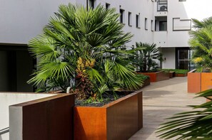 Un bâtiment moderne doté d’une cour intérieure agrémentée de jardinières avec des plantes vertes et d’un palmier.