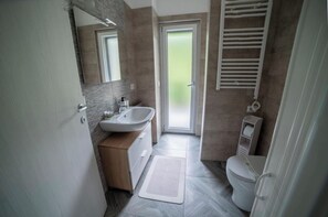 Shower, hair dryer, bidet, towels