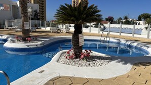 Ein Swimmingpool mit einer Palme und Blumen, umgeben von einem weißen Zaun und Gebäuden im Hintergrund.
