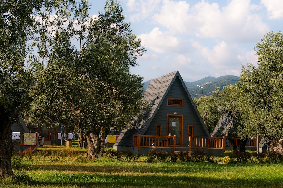 A triangular wooden cabin with a porch, surrounded by trees and grass, set against a backdrop of mountains.