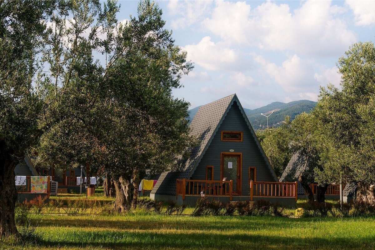A triangular wooden cabin with a porch, surrounded by trees and a grassy area.