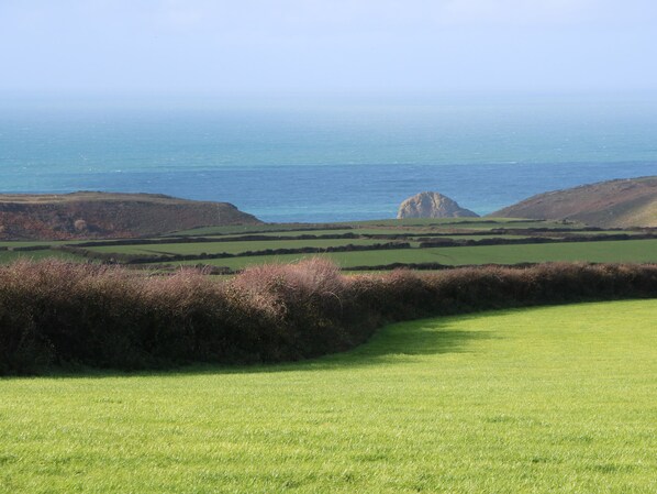 Paisaje costero con colinas onduladas, un primer plano con hierba y vista al mar.