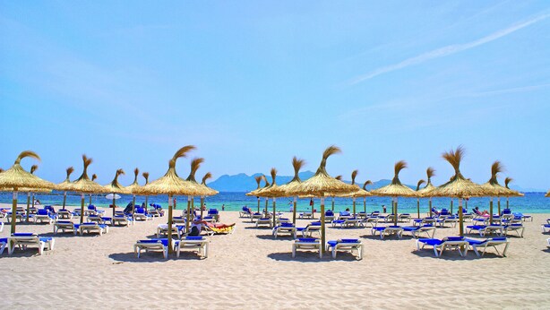 A beach with rows of sun loungers and thatched umbrellas. - Apartamentos Sivella (Pollenca)