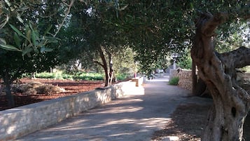 Parco della struttura
