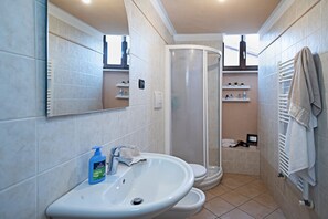 Bathtub, hair dryer, towels, toilet paper