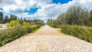 A paved pathway leading to a building with a clear sky and trees on either side. - 3220 Villa Smeralda by Barbarhouse (Guagnano)