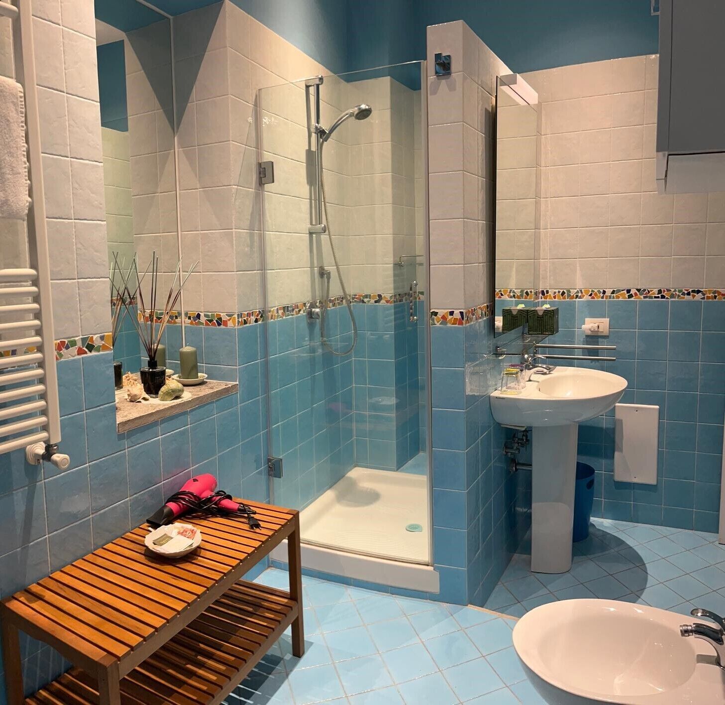 Shower, hair dryer, bidet, towels