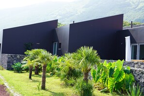A modern building with a stone wall and tropical plants in the foreground.