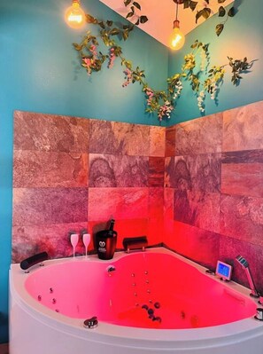 Haartrockner, Handtücher, Seife, Toilettenpapier