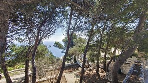 Terrain de l’hébergement 