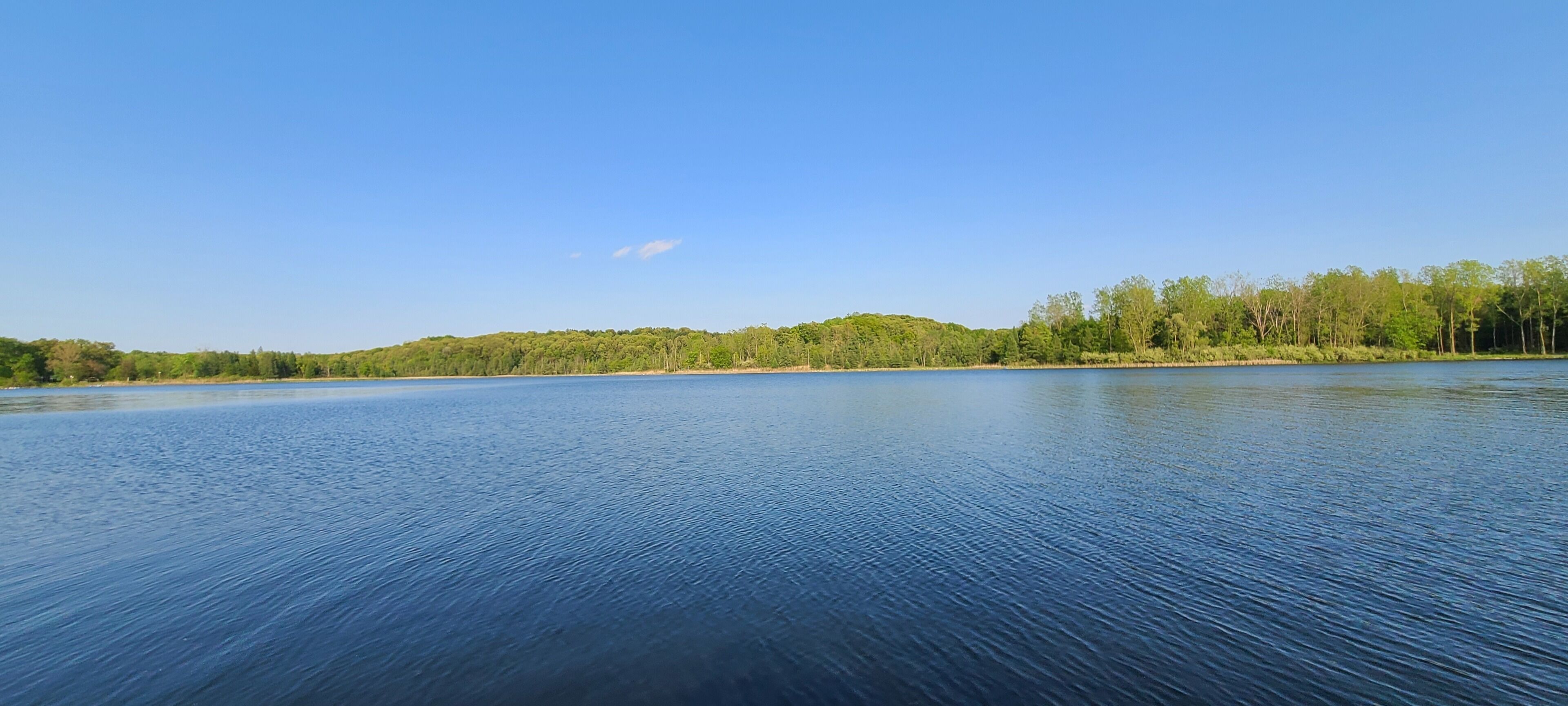 Un lago tranquilo con una orilla boscosa y cielo azul despejado.