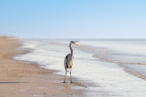 On the beach