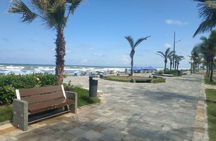 A paved walkway with benches and palm trees, leading to a beach with umbrellas and boats.