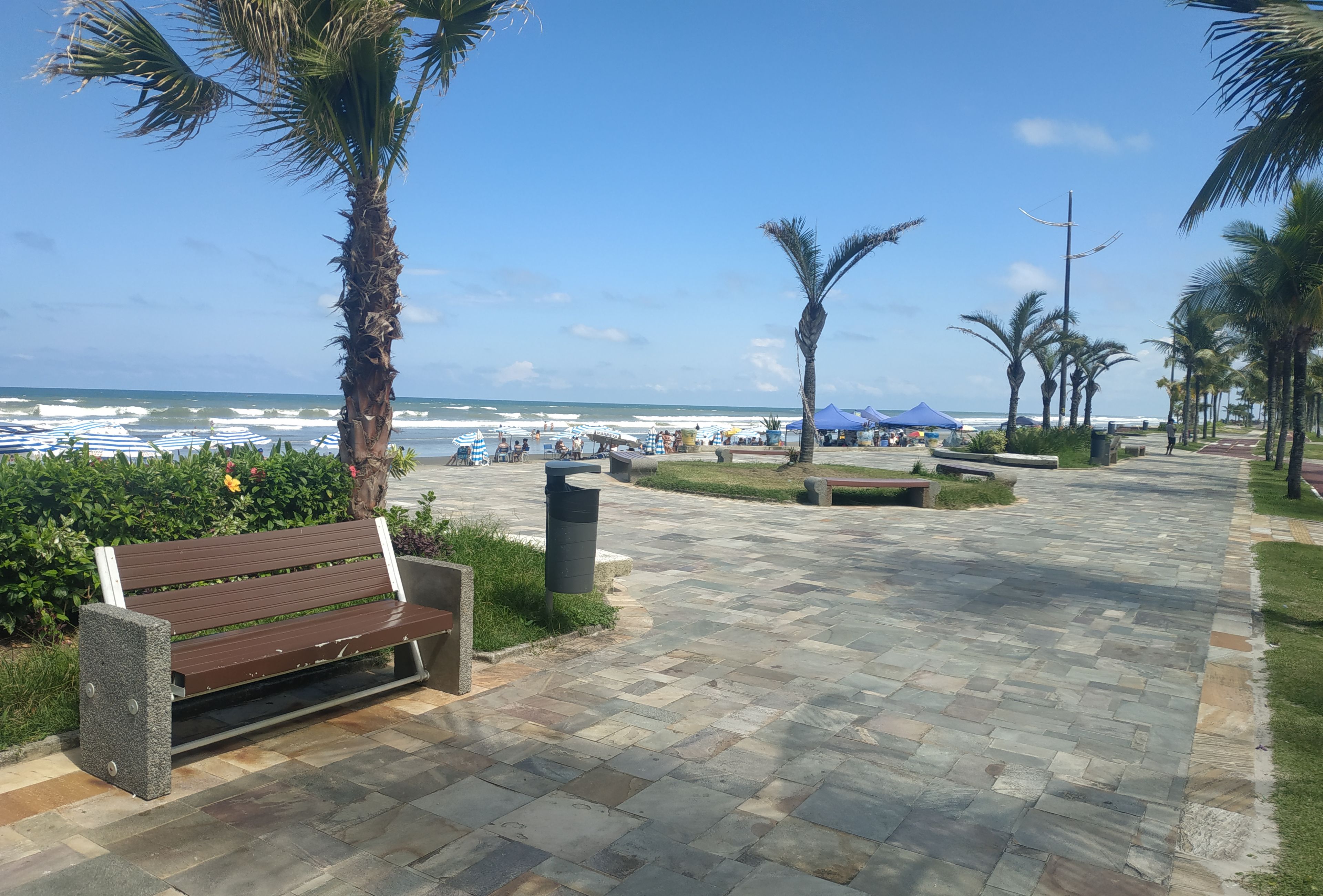Uma passarela pavimentada com um banco, palmeiras e guarda-sóis de praia.