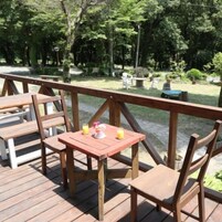 Una terraza de madera al aire libre con mesas y sillas, rodeada de follaje.