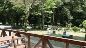 Una terraza de madera al aire libre con mesas y sillas, rodeada por un jardín con árboles y plantas en macetas.