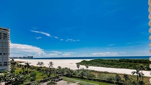 A view of a beach with palm trees and a clear blue sky. - Beachfront I Full Coastal Contemporary Renovation (Marco Island)