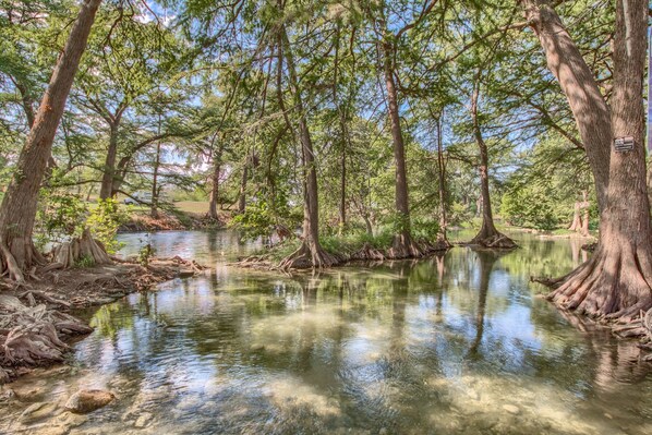 Una escena boscosa y tranquila, con agua cristalina que refleja árboles y el cielo.