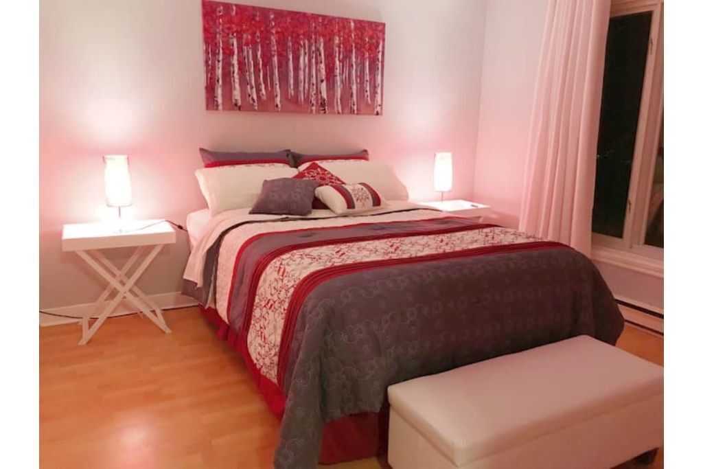 Beautiful, large and charming 5-1/2, close to everything