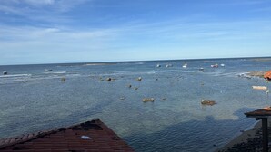 Blick auf die Küste mit Booten auf dem Wasser, einer felsigen Uferlinie und einem Ziegeldach im Vordergrund.