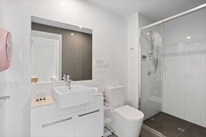 Shower, hair dryer, towels
