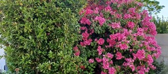 12 km St Gilles Croix de Vie to Coex. Sea, Golf, 3 lakes. 25 km Sables d'olonne 