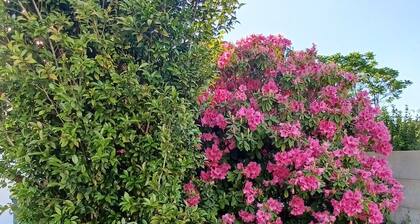 12 km St Gilles Croix de Vie to Coex. Sea, Golf, 3 lakes. 25 km Sables d'olonne