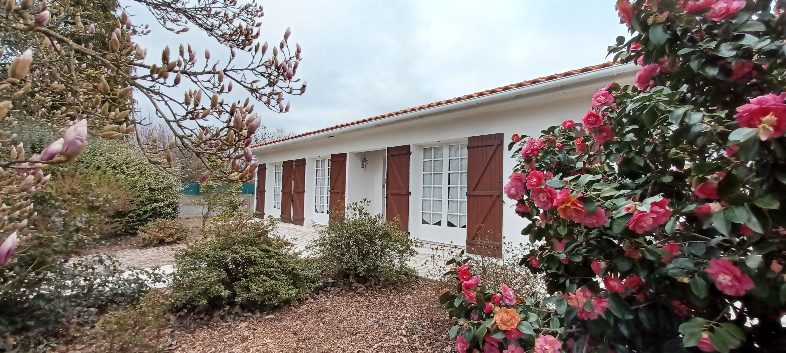 Un edificio blanco con contraventanas marrones, rodeado de arbustos y árboles en flor.