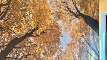 A room with a large wall mural of autumn leaves, a bed with a grey headboard, and a bedside table with a lamp.