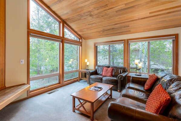 Smart TV, fireplace, DVD player