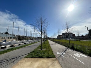 A pathway alongside a marina with boats, a bike lane, and a grassy area with trees.