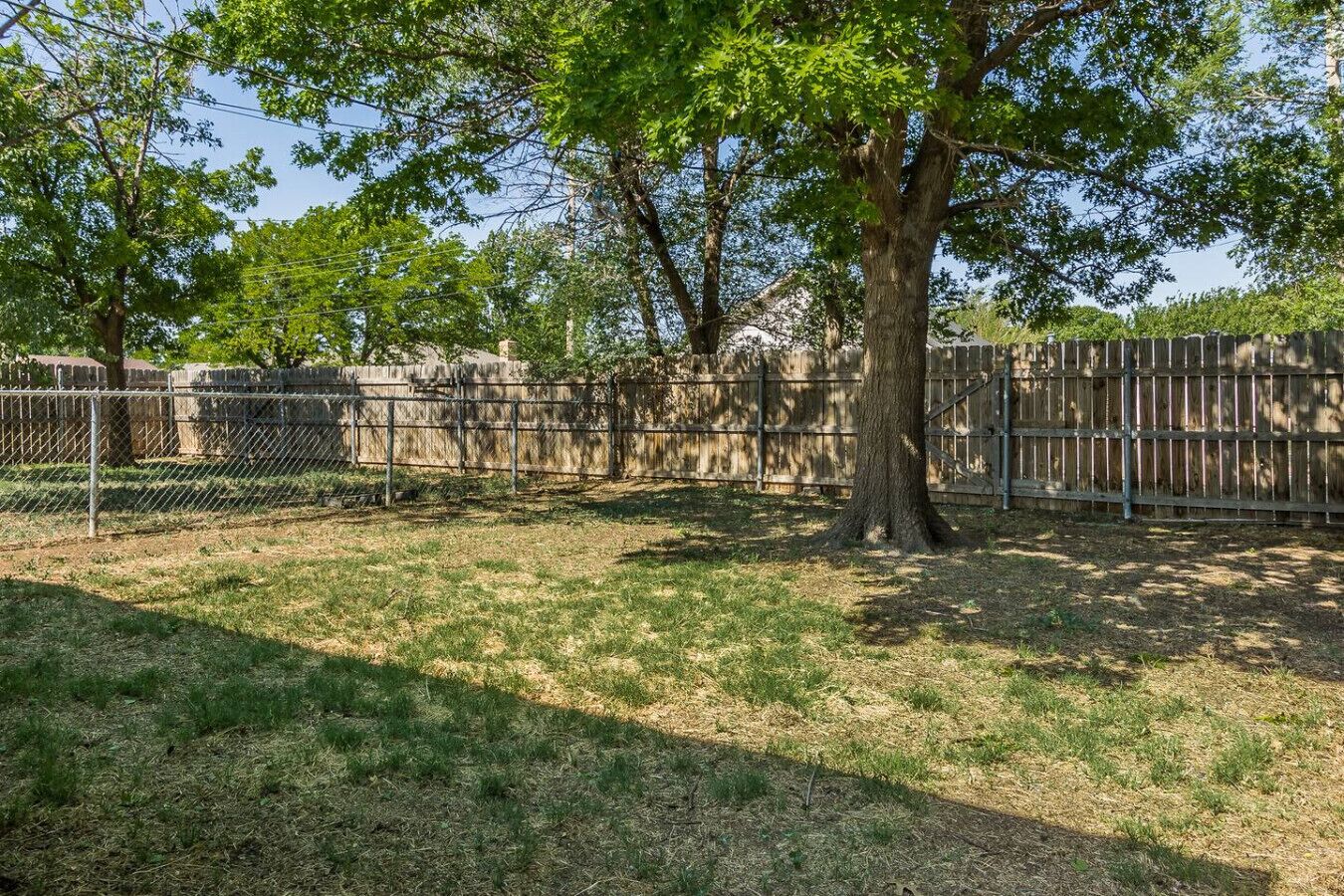 A fenced outdoor area with trees and a grassy ground.